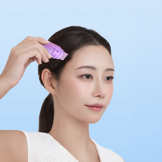 All Day Hair Brush Fixer