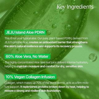 Aloe PDRN Cooling Repair Ampoule
