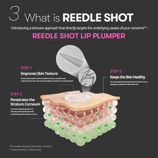 Reedle Shot Lip Plumper Expert