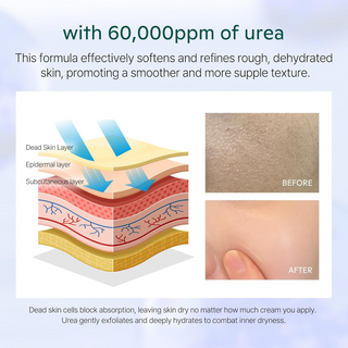 Liposome Repair Milky Cream