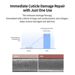 Damage Therapy No-Wash Treatment EX Leave In Hair Treatment