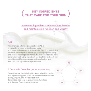 Black Rice Probiotics Barrier 2% NAD+ Serum Mist