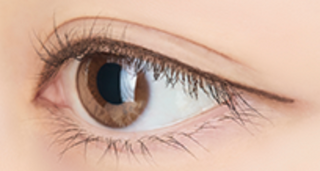 Love Liner Cream Fit Pencil Oval Core